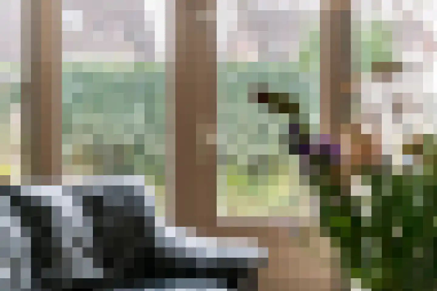 Bisschop Notgerstraat 1 Kerk-Avezaath thumbnail 8