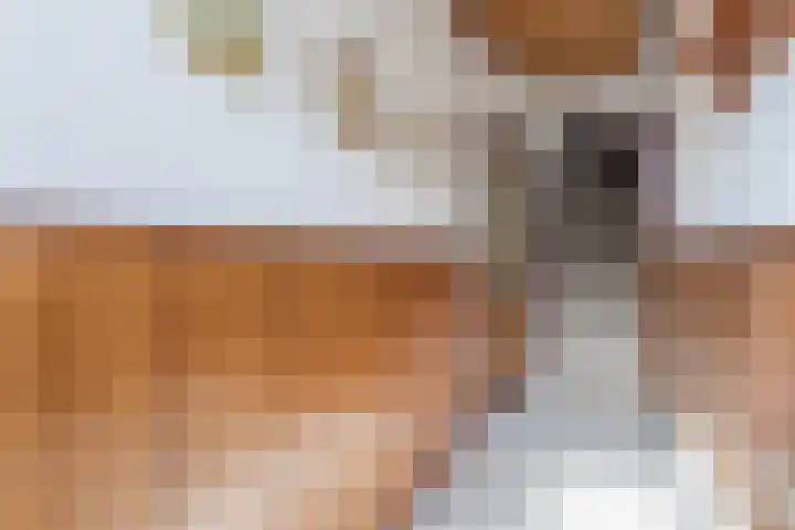 Bisschop Ophoviusstraat 16 Tilburg thumbnail 14