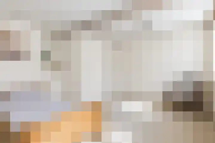 Bisschop Ophoviusstraat 16 Tilburg thumbnail 16