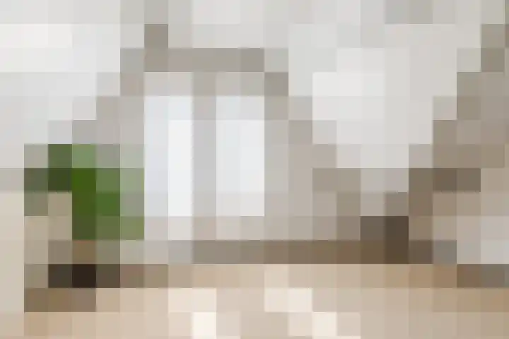 Bisschop Ophoviusstraat 16 Tilburg thumbnail 21