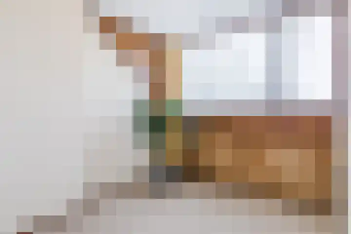 Bisschop Ophoviusstraat 16 Tilburg thumbnail 23