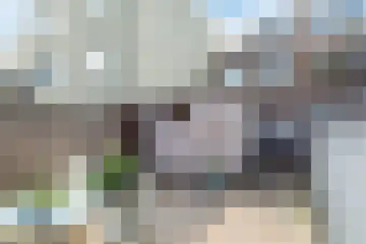 Bisschop Ophoviusstraat 16 Tilburg thumbnail 28