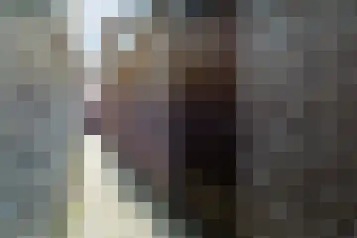 Bisschop Ophoviusstraat 16 Tilburg thumbnail 29