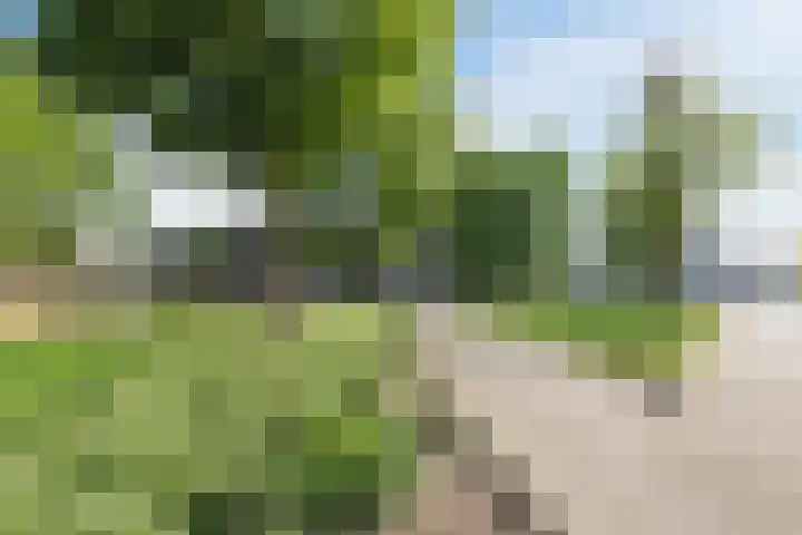 Bisschop Ophoviusstraat 16 Tilburg thumbnail 31