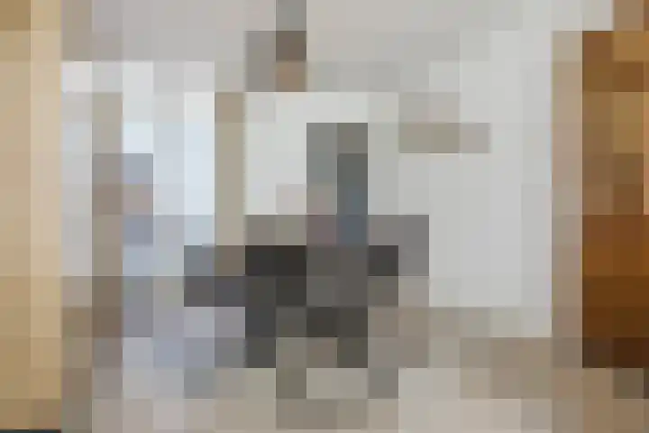 Bisschop Ophoviusstraat 16 Tilburg thumbnail 6