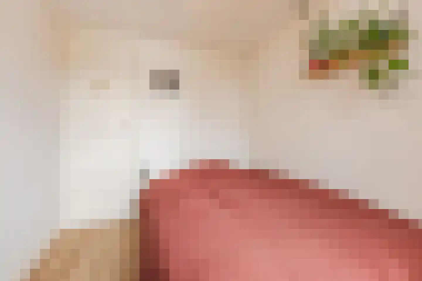 Bisschop Ophoviusstraat 5 Tilburg thumbnail 26