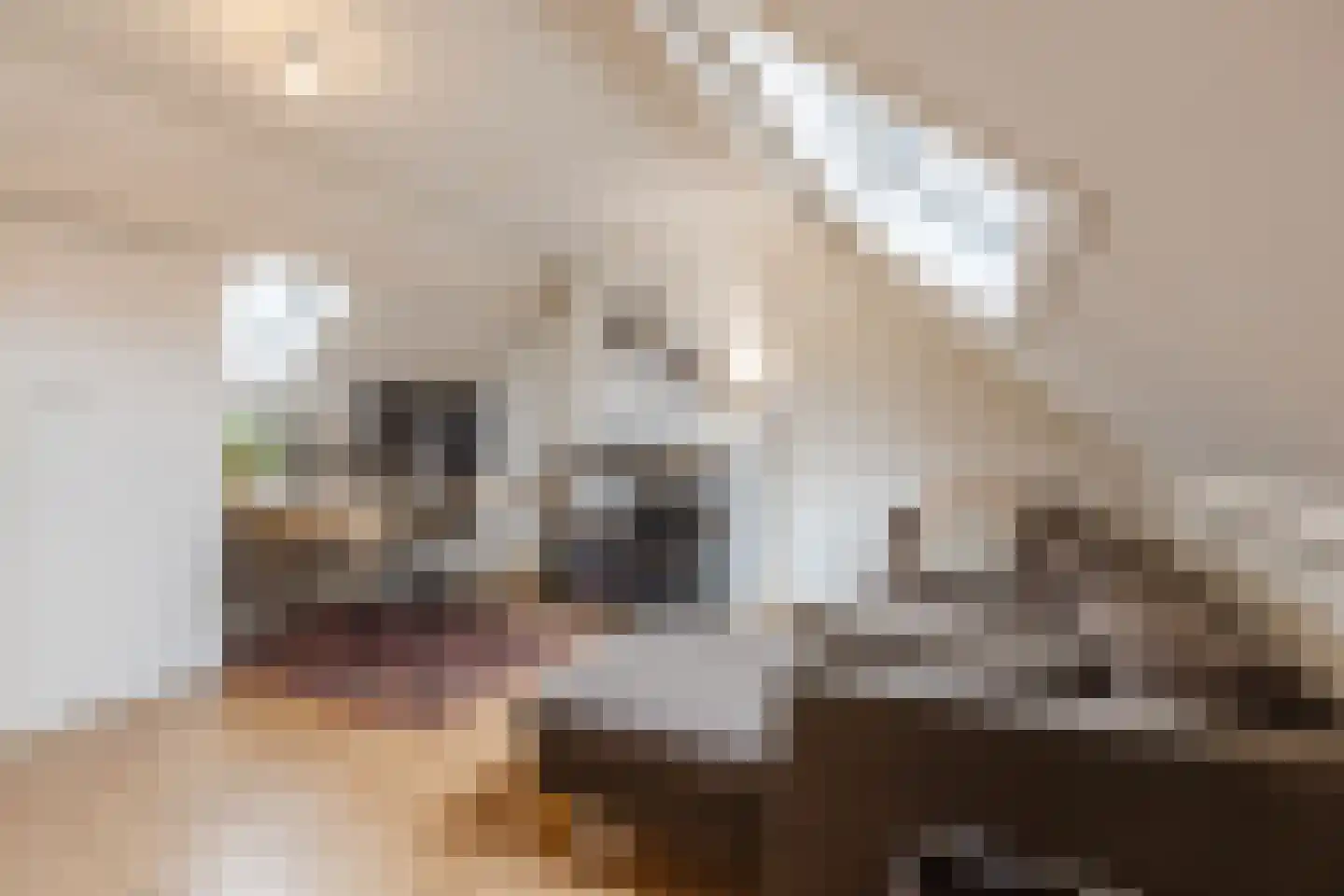Bisschop Ophoviusstraat 5 Tilburg thumbnail 28