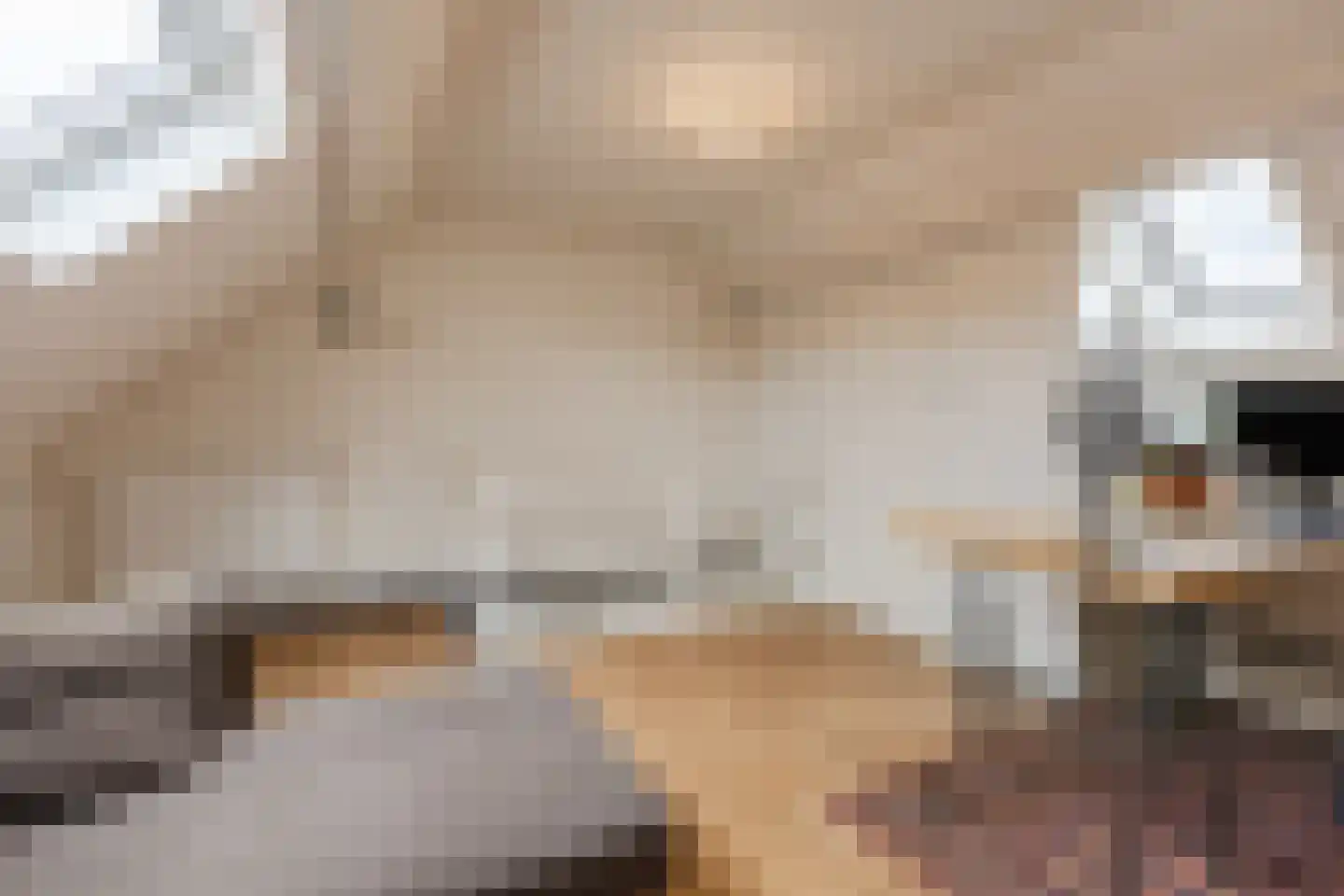 Bisschop Ophoviusstraat 5 Tilburg thumbnail 30
