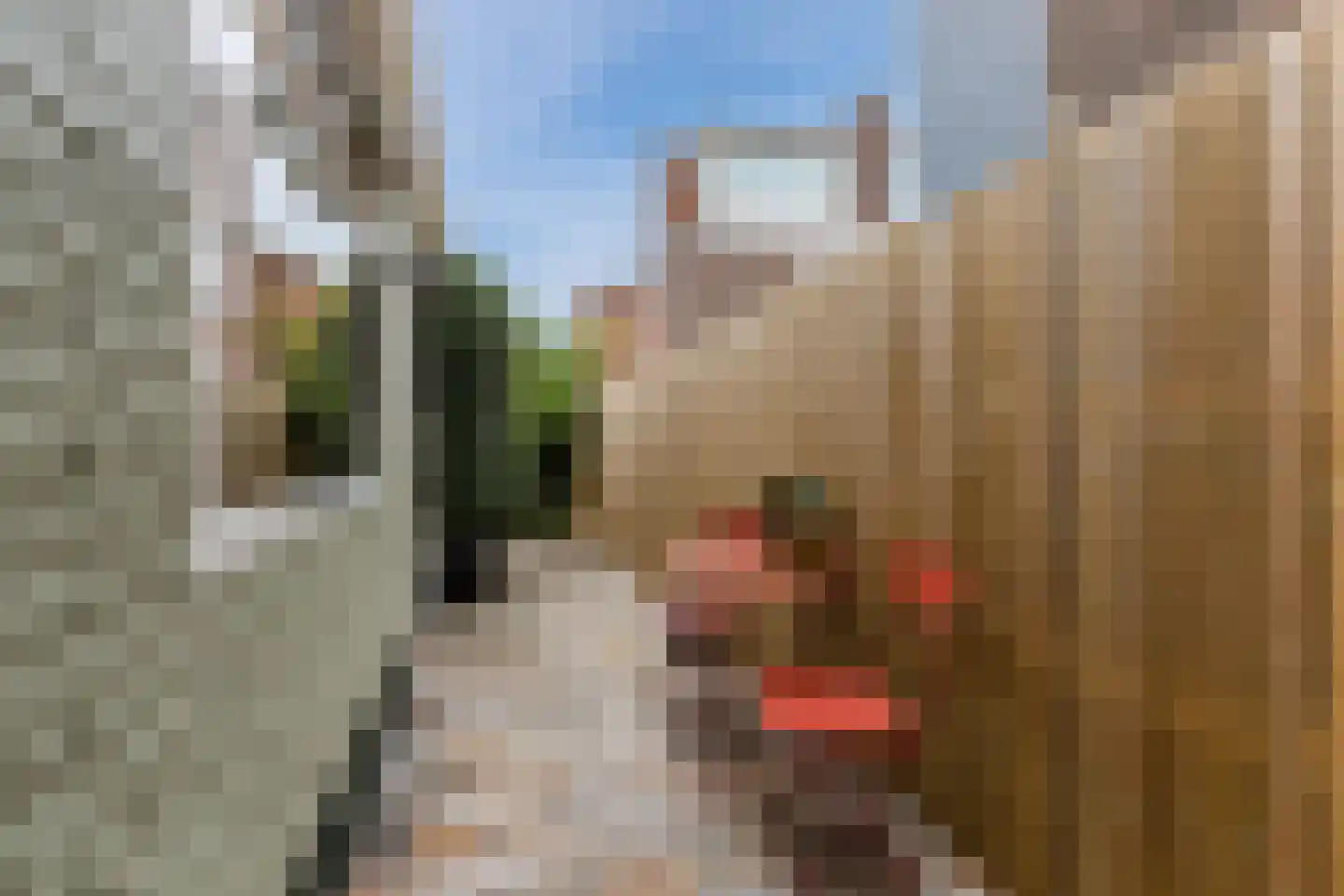 Bisschop Ophoviusstraat 5 Tilburg thumbnail 31
