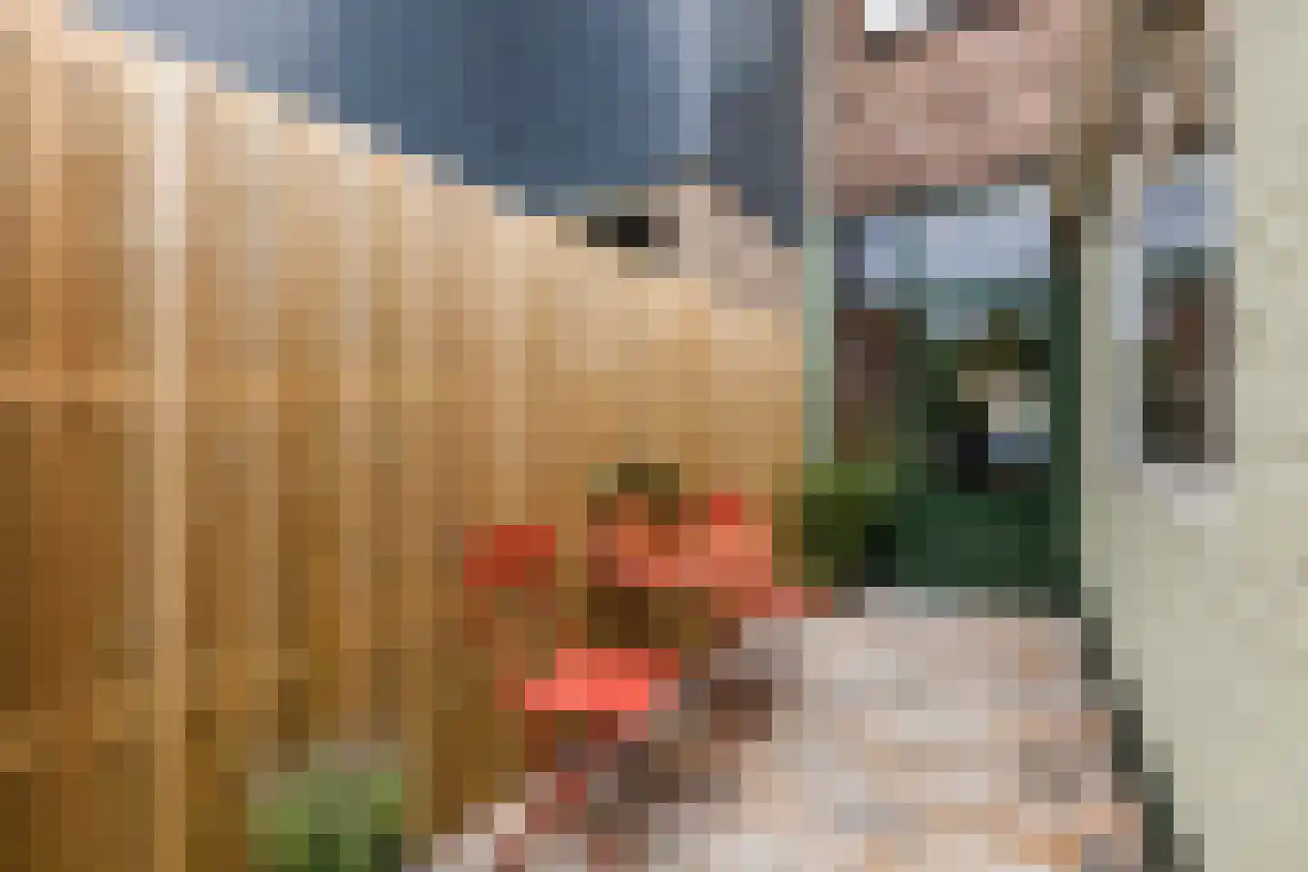 Bisschop Ophoviusstraat 5 Tilburg thumbnail 32