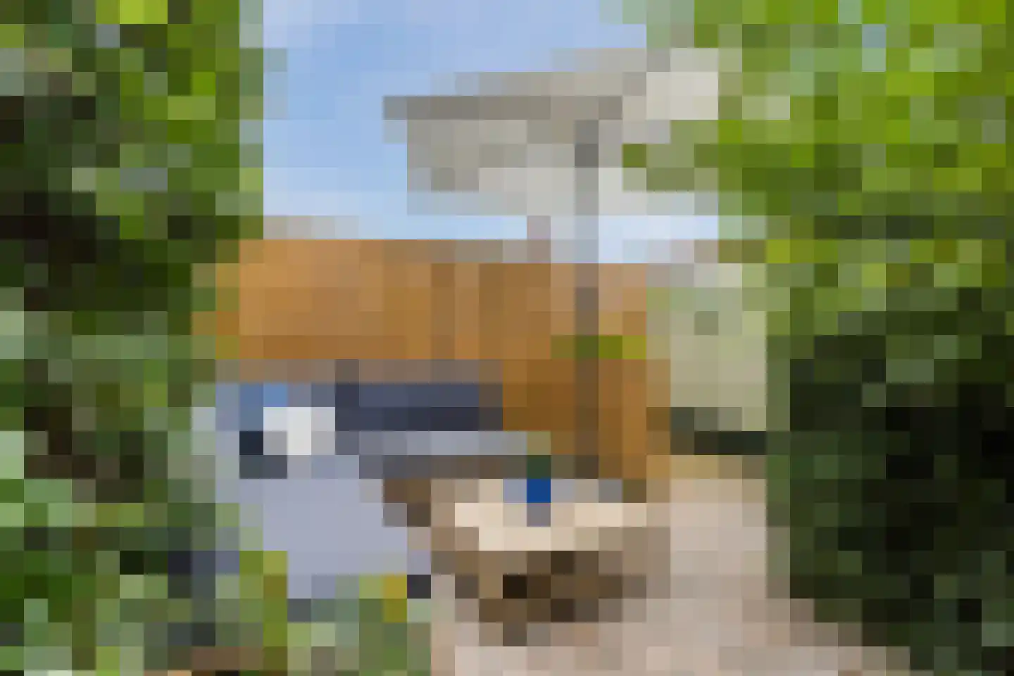 Bisschop Ophoviusstraat 5 Tilburg thumbnail 34