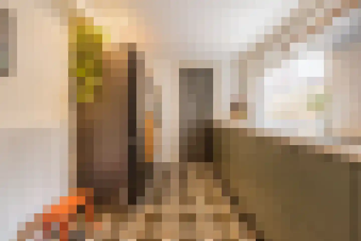 Bisschop Ophoviusstraat 5 Tilburg thumbnail 8