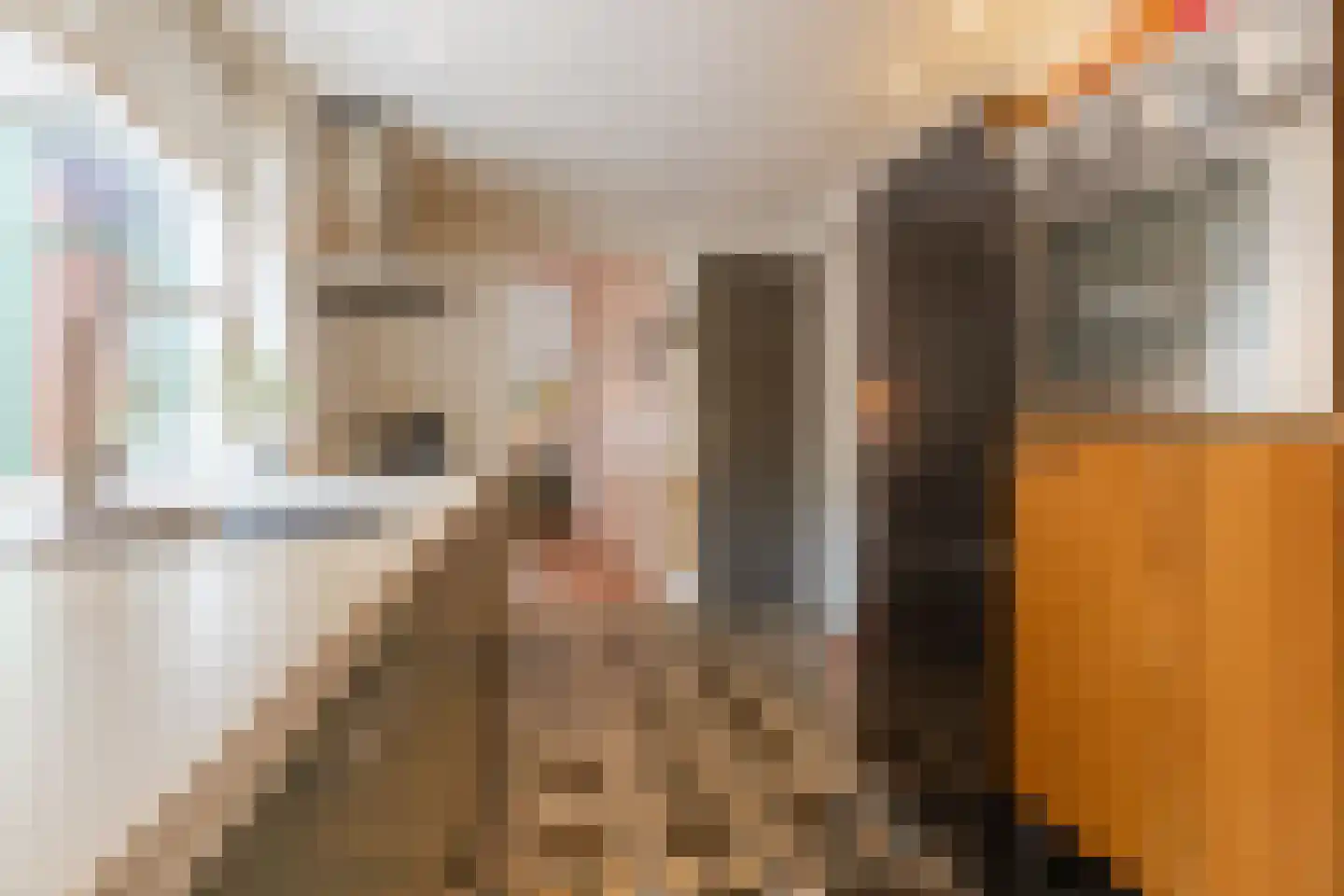 Bisschop Ophoviusstraat 5 Tilburg thumbnail 9