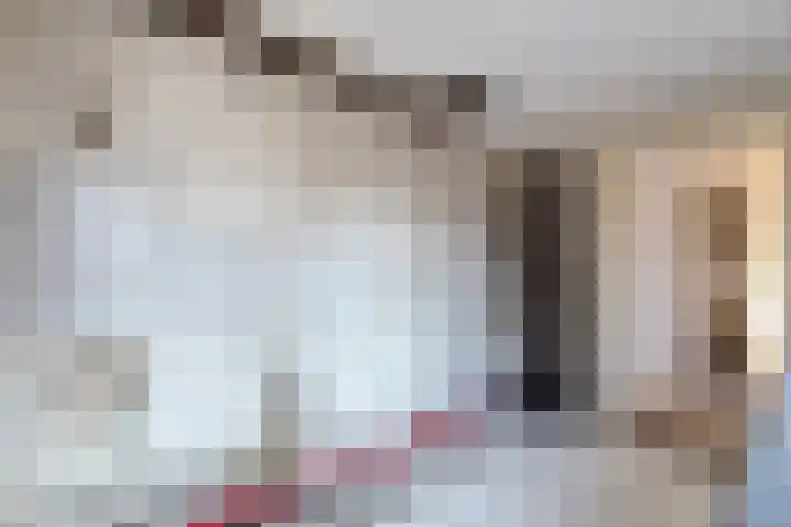 Bisschop Ophoviusstraat 7 Tilburg thumbnail 10