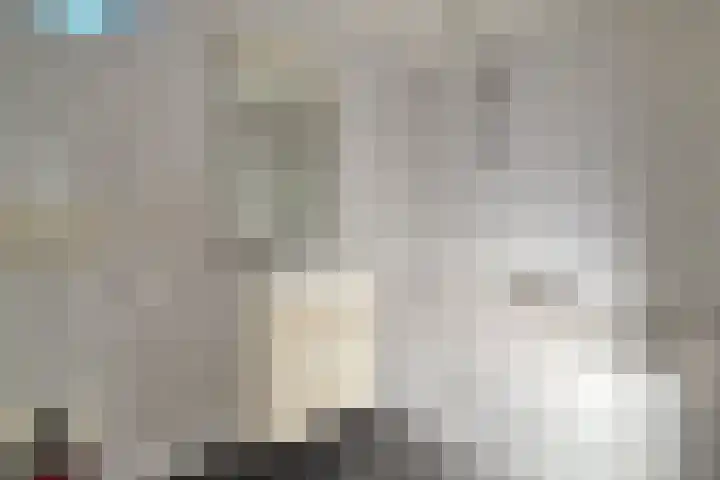 Bisschop Ophoviusstraat 7 Tilburg thumbnail 12