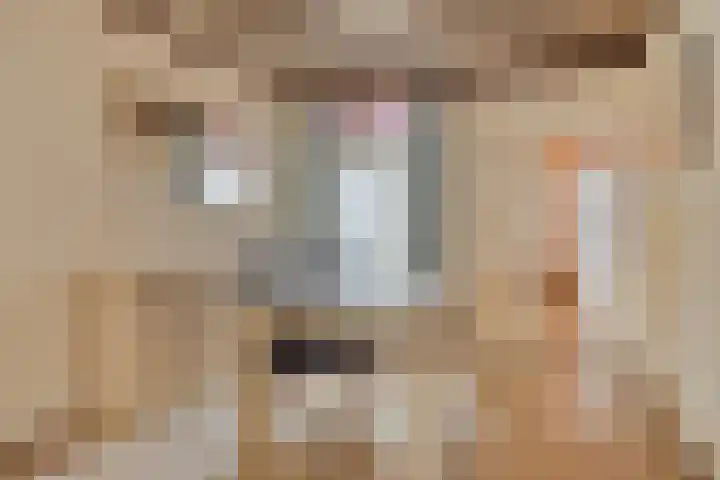 Bisschop Ophoviusstraat 8 Tilburg thumbnail 13