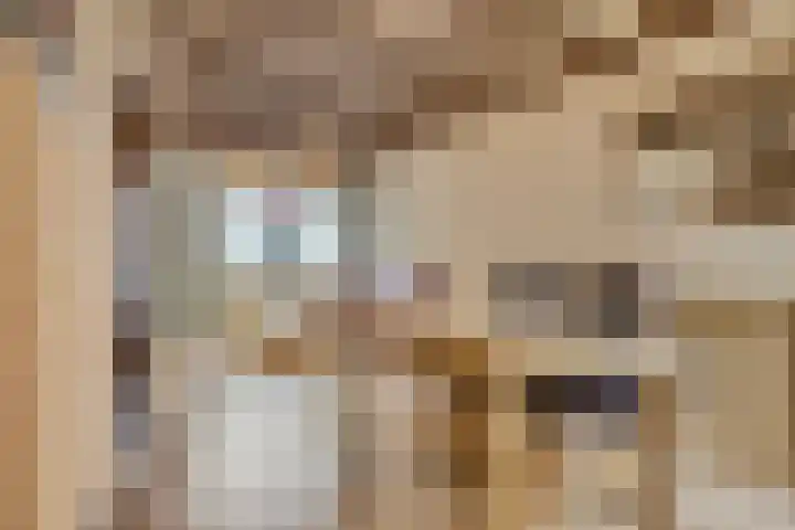 Bisschop Ophoviusstraat 8 Tilburg thumbnail 14