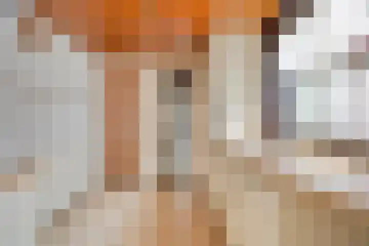Bisschop Ophoviusstraat 8 Tilburg thumbnail 15