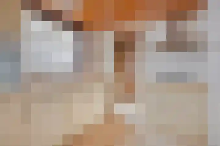 Bisschop Ophoviusstraat 8 Tilburg thumbnail 16