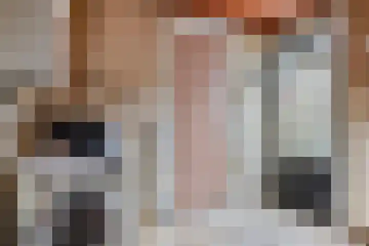 Bisschop Ophoviusstraat 8 Tilburg thumbnail 18