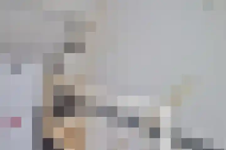 Bisschop Ophoviusstraat 8 Tilburg thumbnail 29