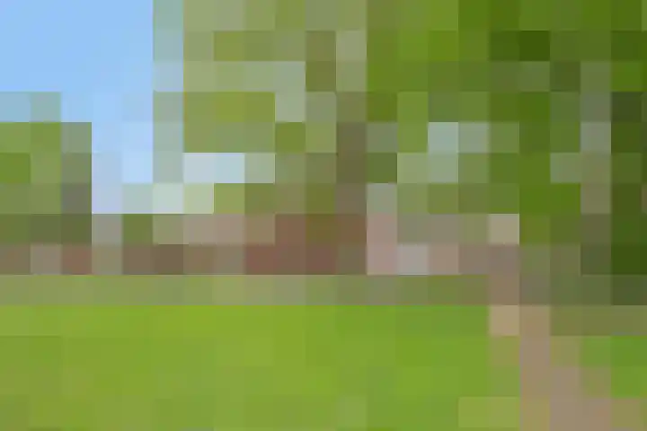 Bisschop Ophoviusstraat 8 Tilburg thumbnail 38