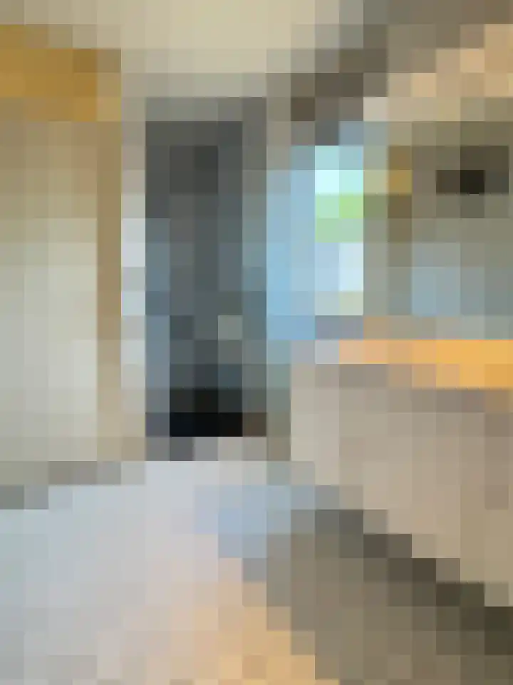 Bisschop Paredisstraat 29 Venlo thumbnail 19