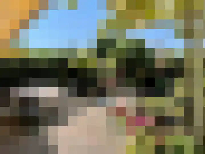 Bisschop Paredisstraat 29 Venlo thumbnail 21