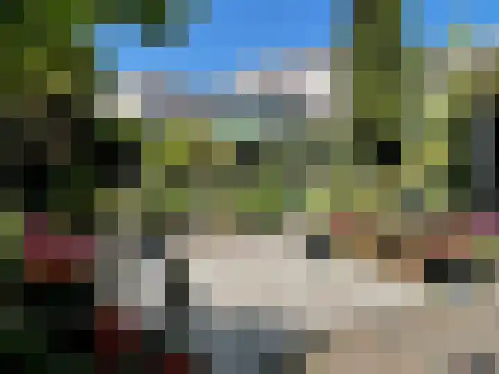 Bisschop Paredisstraat 29 Venlo thumbnail 23