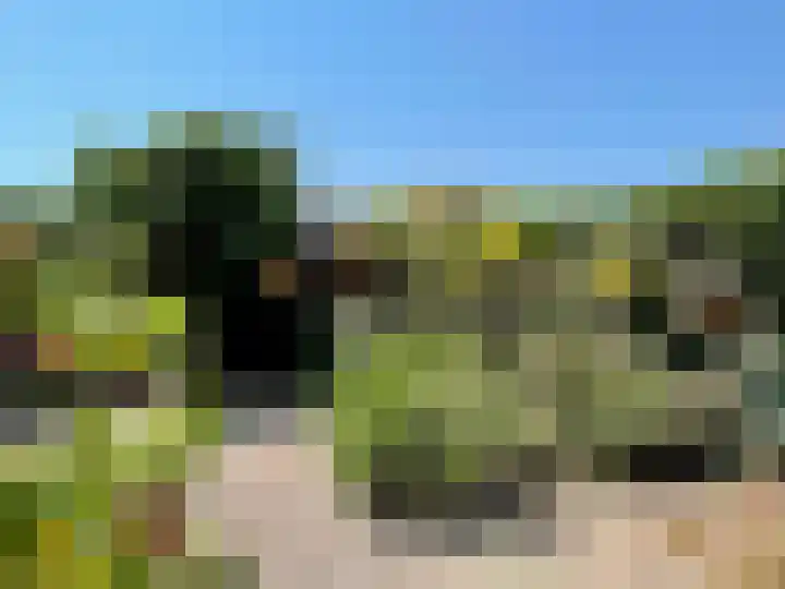 Bisschop Paredisstraat 29 Venlo thumbnail 24