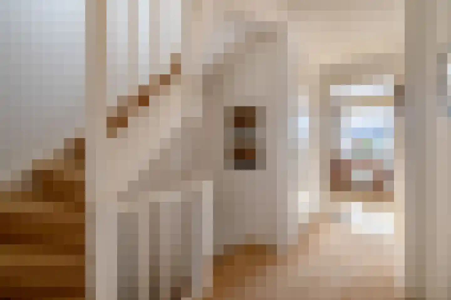 Bisschop Paredisstraat 6 Venlo thumbnail 20