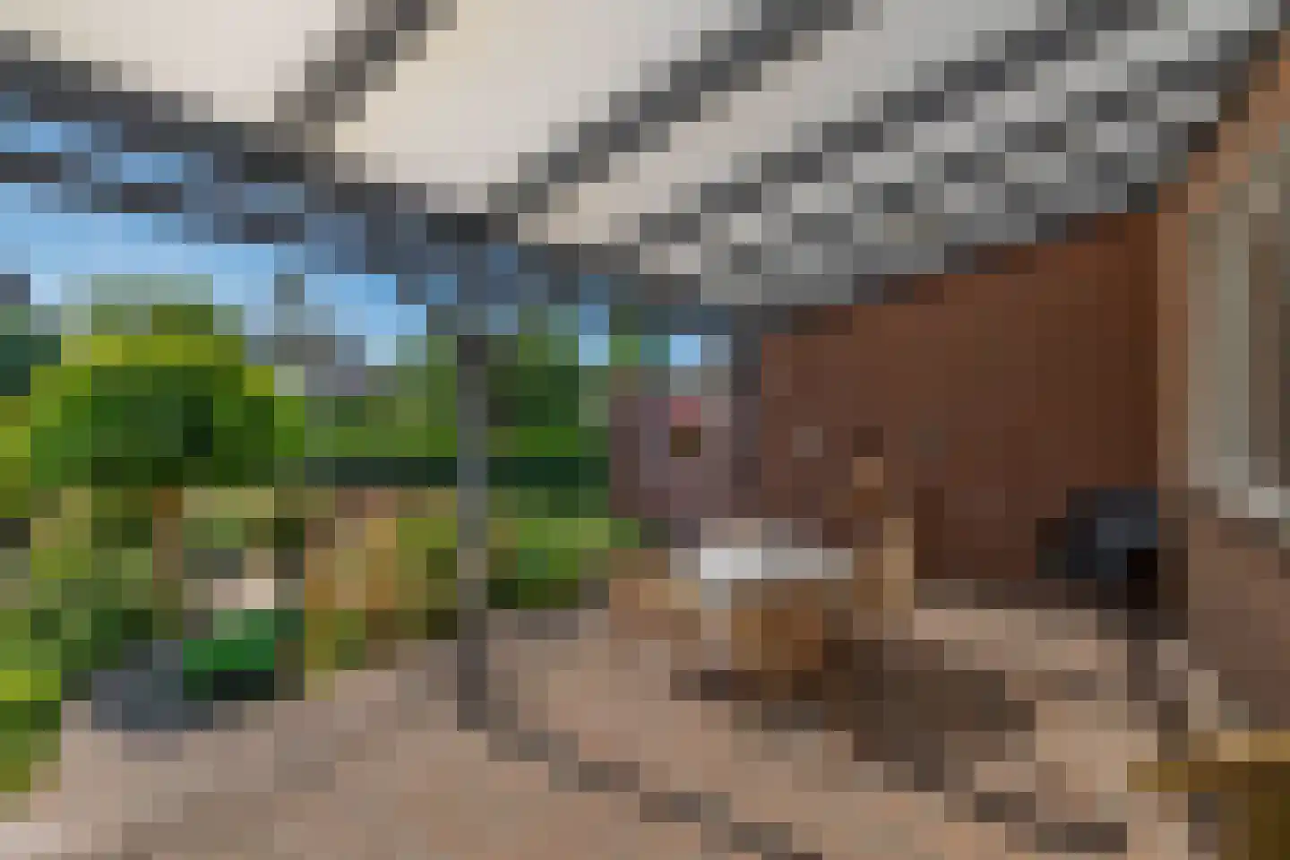 Bisschop Paredisstraat 6 Venlo thumbnail 4