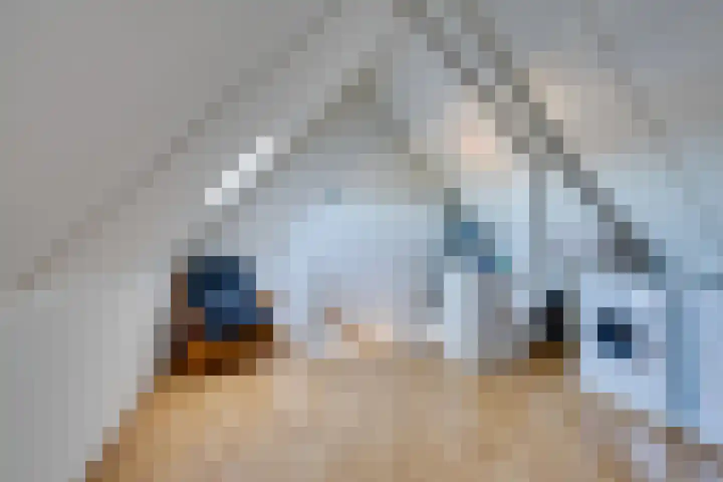 Bisschop Romerostraat 37 Purmerend thumbnail 43
