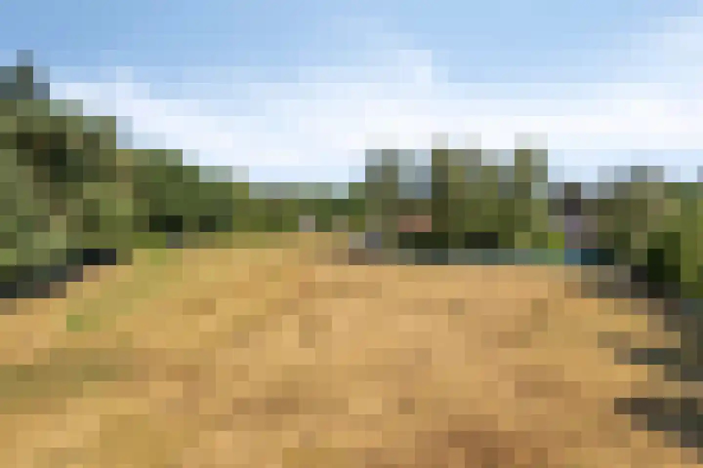 Bisschop Rythoviusdreef 8 Riethoven thumbnail 20