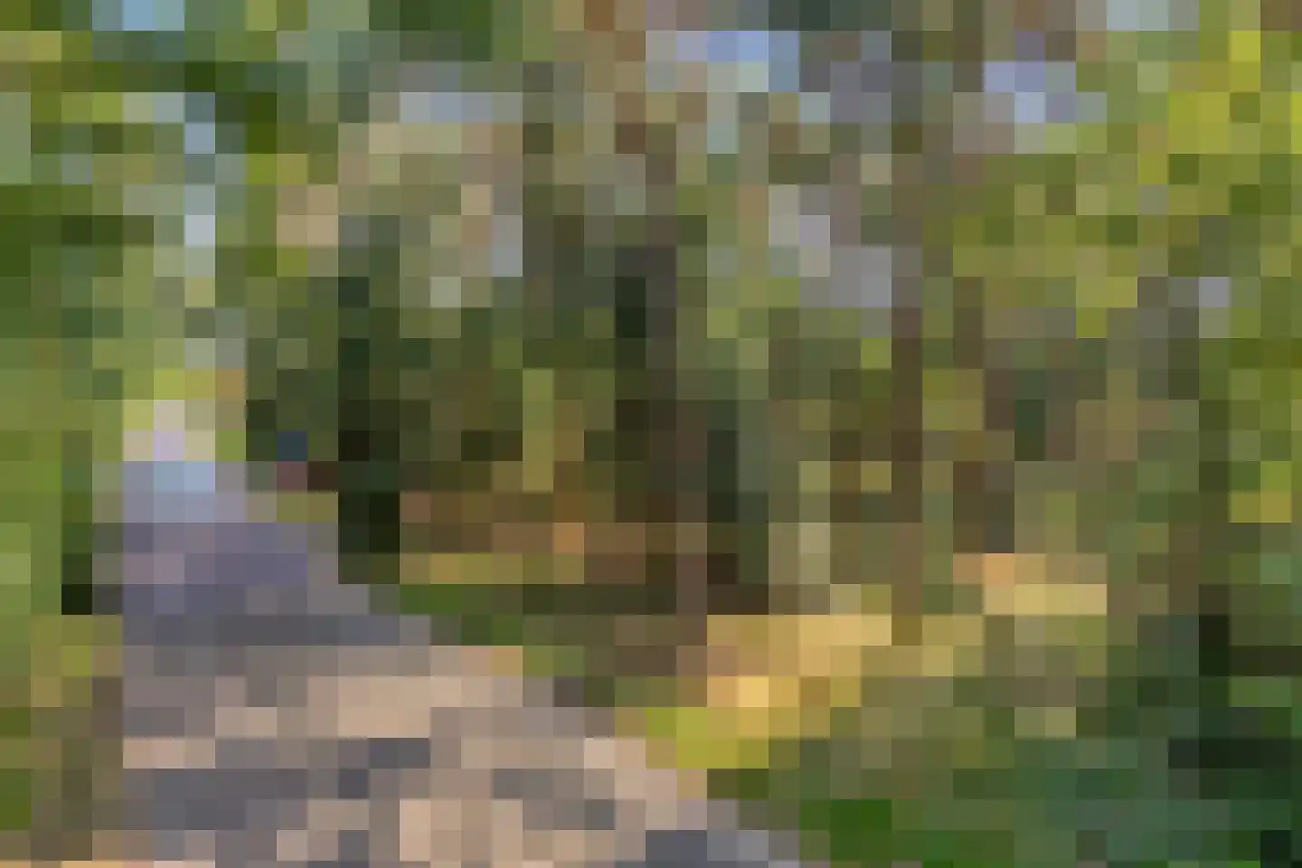 Bisschop Rythoviusdreef 8 Riethoven thumbnail 21