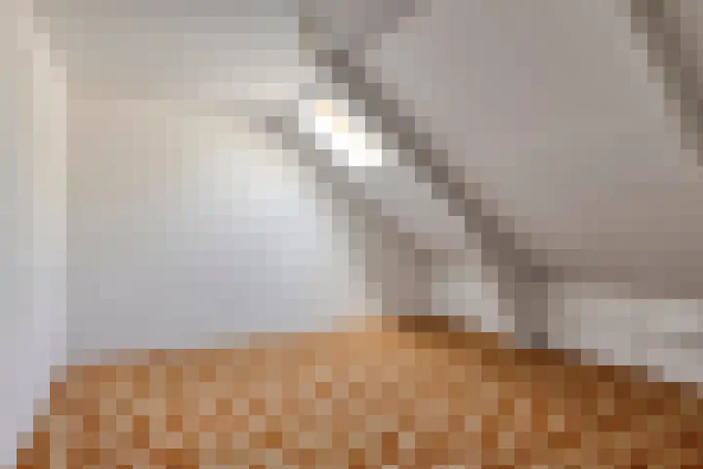 Bisschop Rythoviusdreef 8 Riethoven thumbnail 26