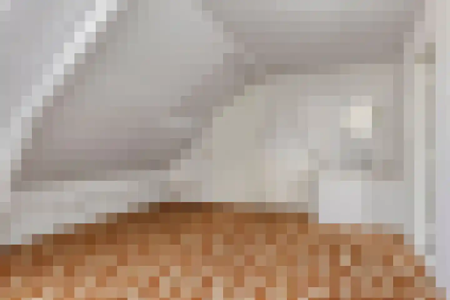 Bisschop Rythoviusdreef 8 Riethoven thumbnail 27
