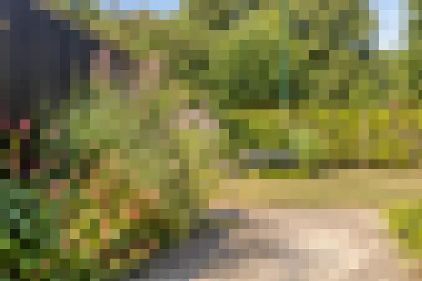 Bisschop Rythoviusdreef 8 Riethoven thumbnail 38