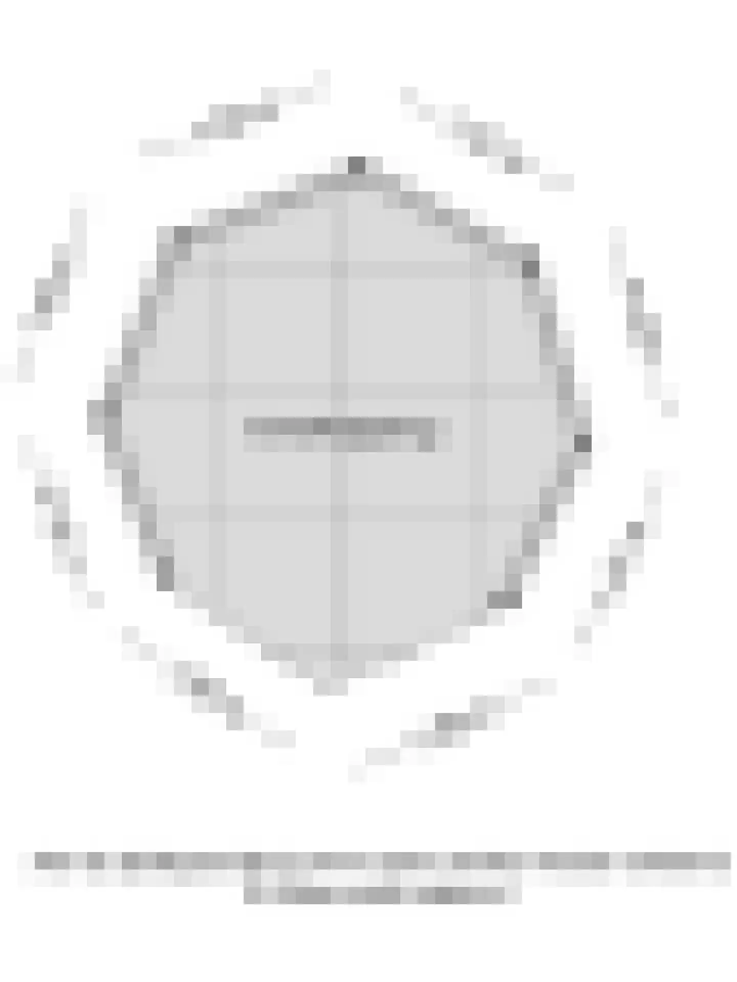 Bisschop Rythoviusdreef 8 Riethoven thumbnail 39