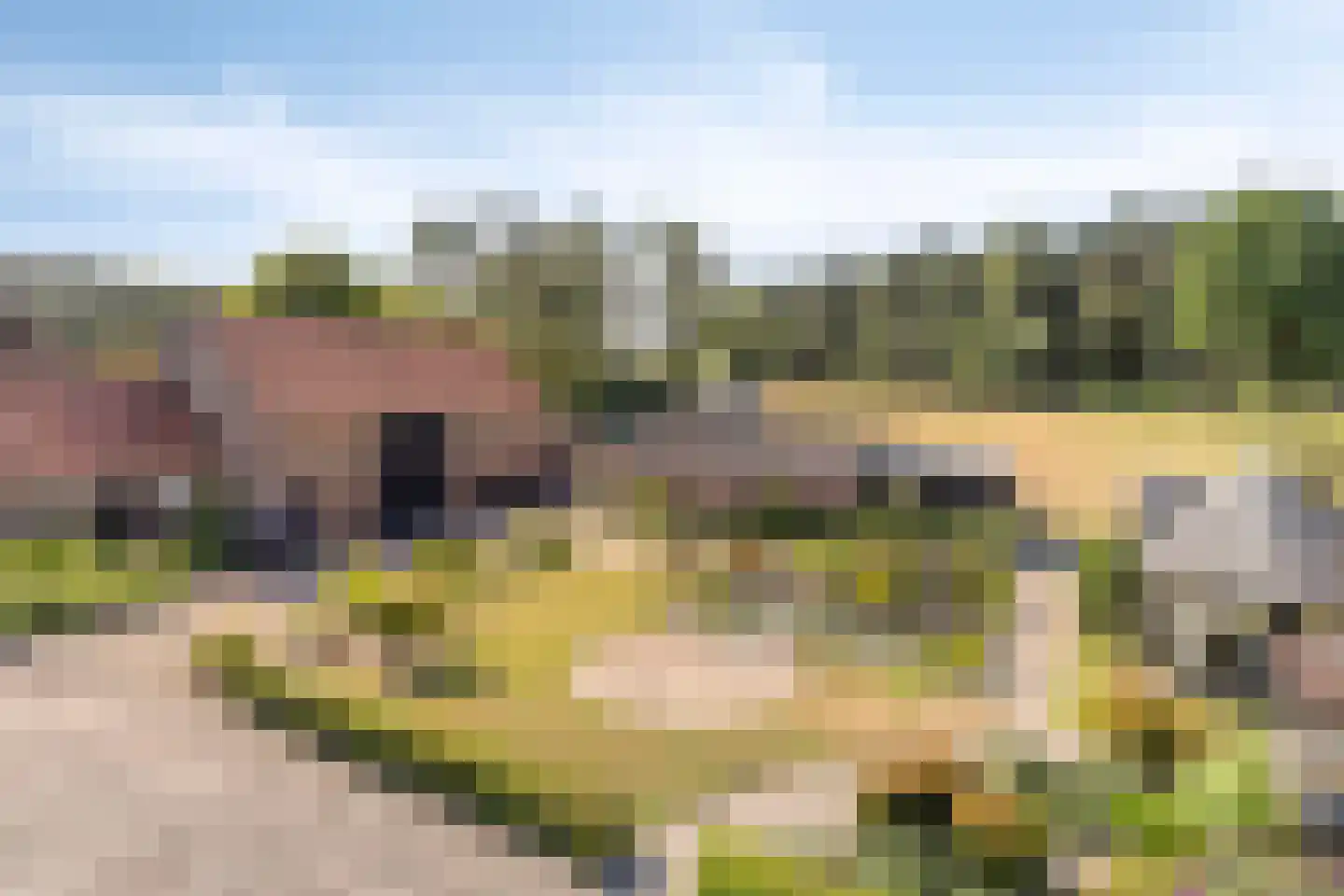 Bisschop Rythoviusdreef 8 Riethoven thumbnail 40
