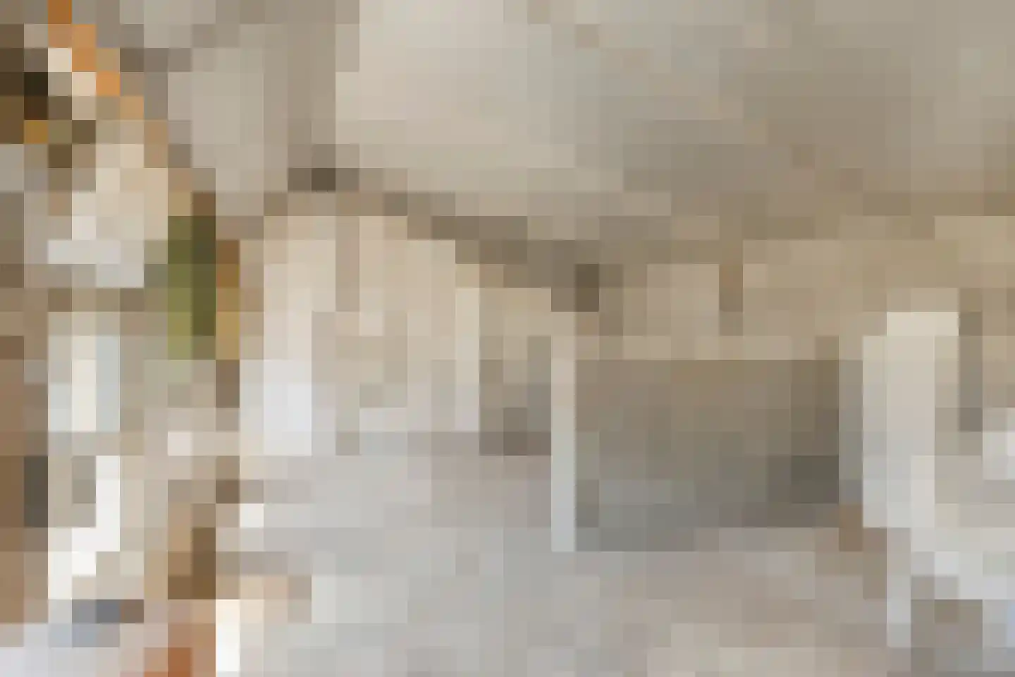 Bisschop Rythoviusdreef 8 Riethoven thumbnail 43
