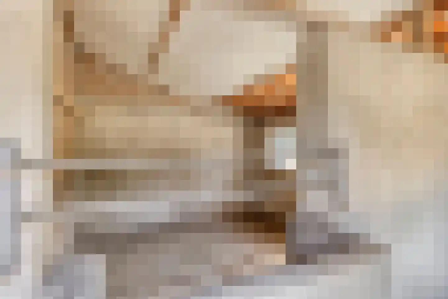 Bisschop Rythoviusdreef 8 Riethoven thumbnail 44