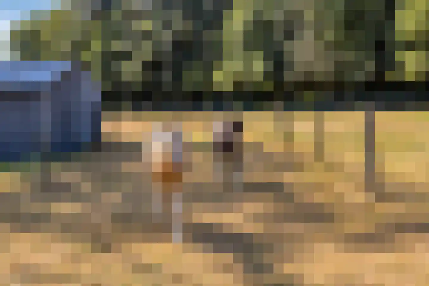 Bisschop Rythoviusdreef 8 Riethoven thumbnail 49