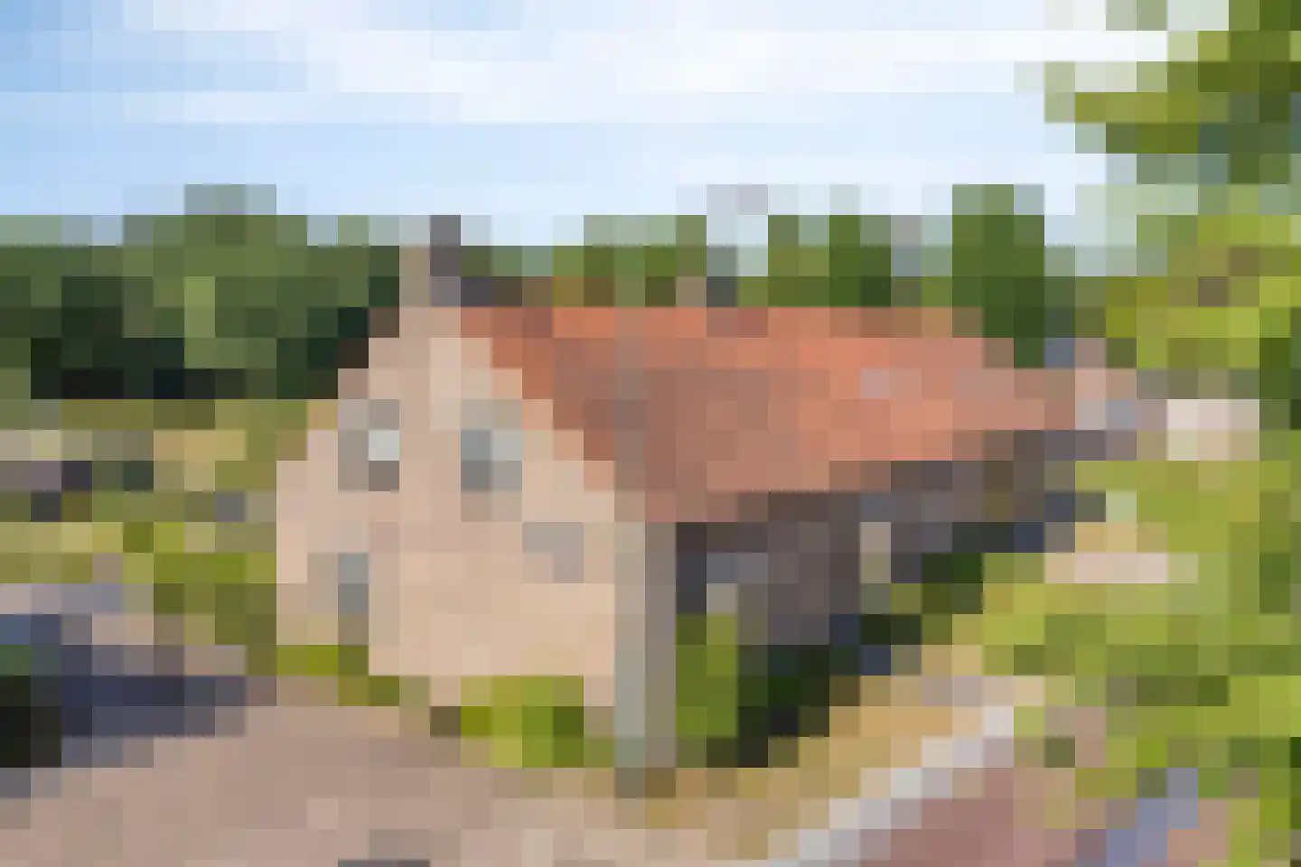 Bisschop Rythoviusdreef 8 Riethoven thumbnail 8