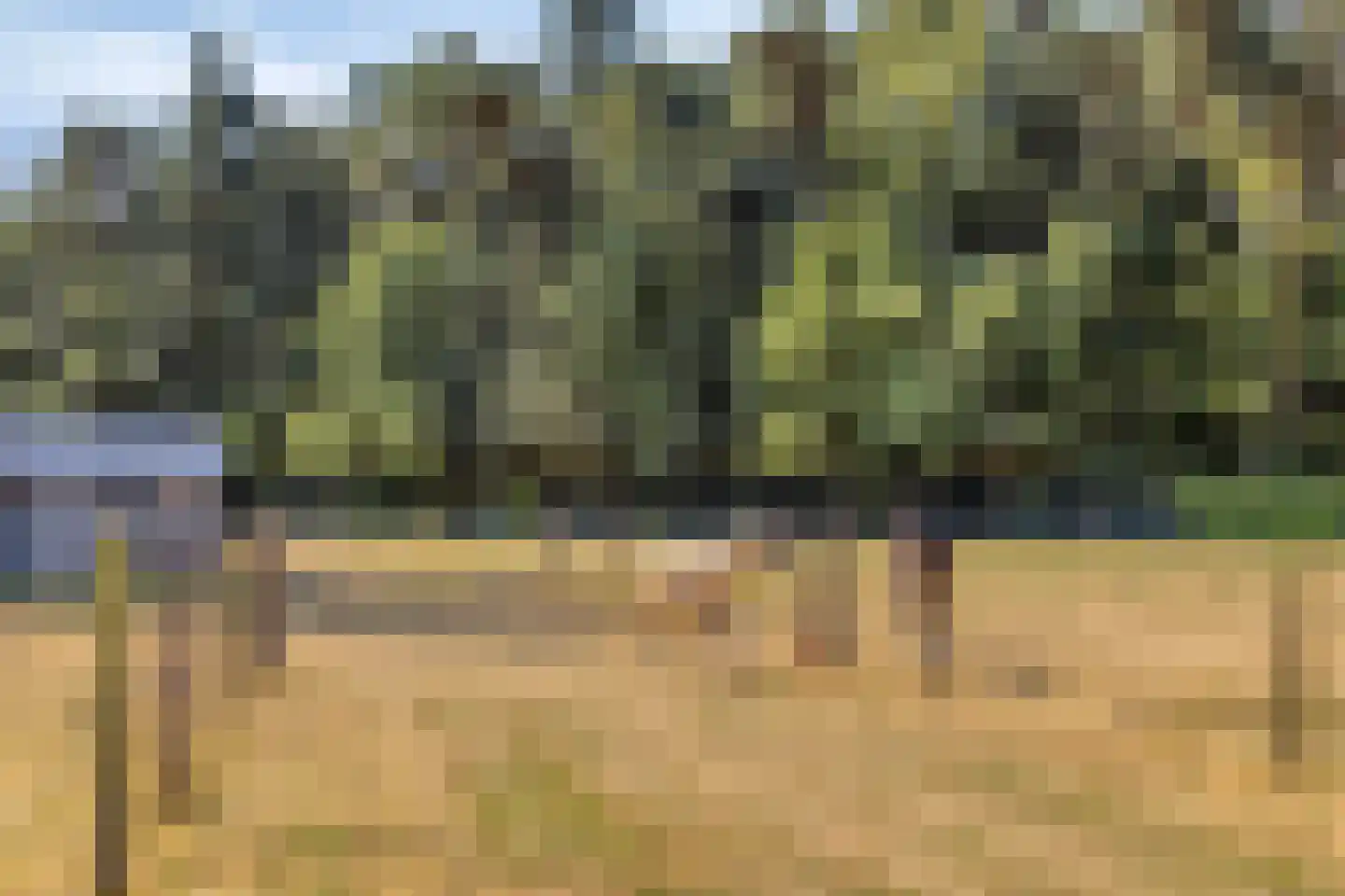 Bisschop Rythoviusdreef 9 Riethoven thumbnail 16