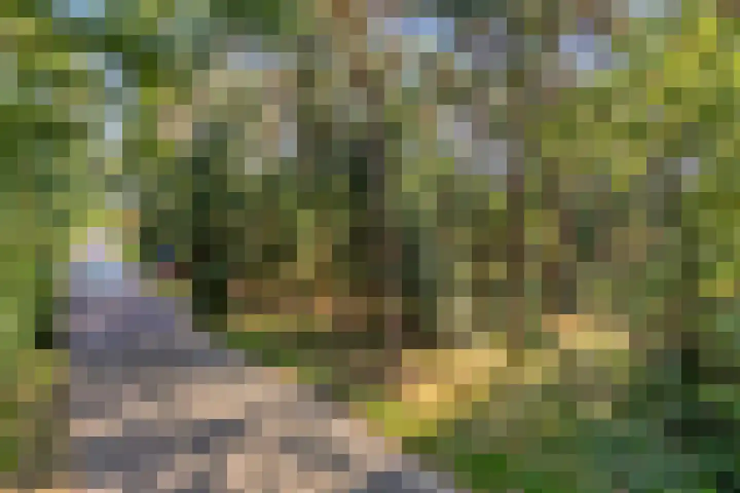 Bisschop Rythoviusdreef 9 Riethoven thumbnail 25