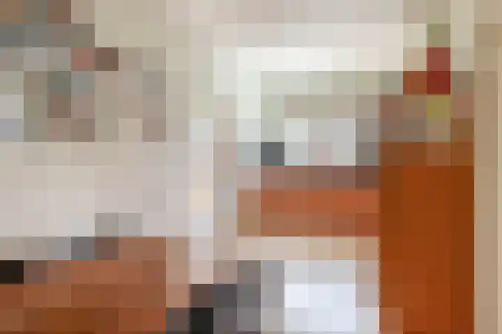 Bisschop Rythoviusweg 7 a Eersel thumbnail 11