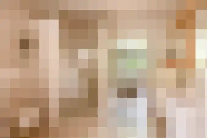 Bisschop Rythoviusweg 7 a Eersel thumbnail 21