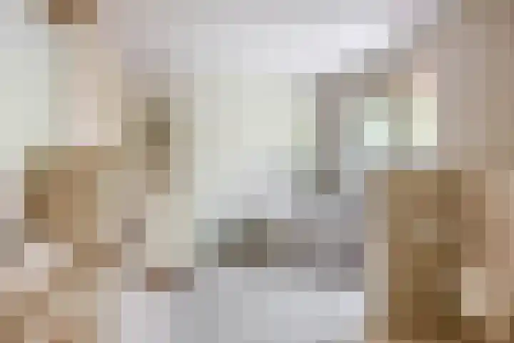 Bisschop Rythoviusweg 7 a Eersel thumbnail 22