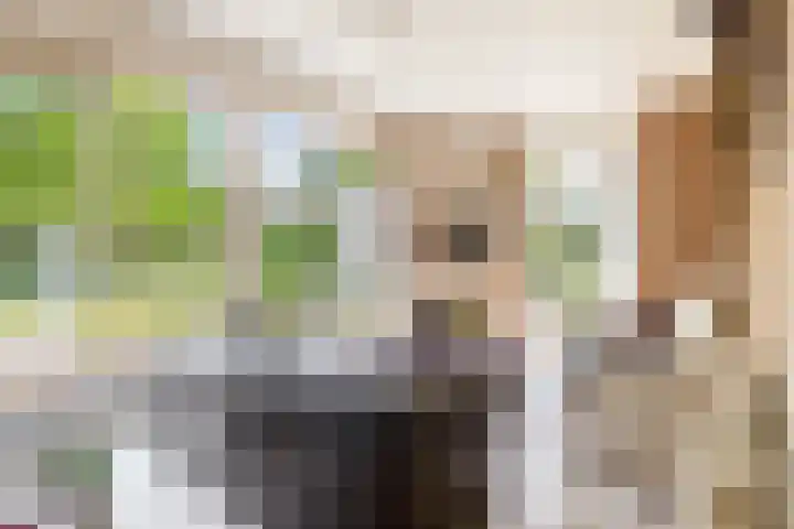 Bisschop Rythoviusweg 7 a Eersel thumbnail 25